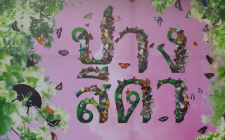 “เทศกาลดูผีเสื้อปางสีดา ครั้งที่14” จังหวัดสระแก้ว ดินแดนแห่งผีเสื้อของผืนป่าตะวันออกของประเทศไทย