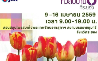 งานมหัศจรรย์ไม้เมืองหนาวรั้งที่ 6 ทิวลิปบานที่ระยอง