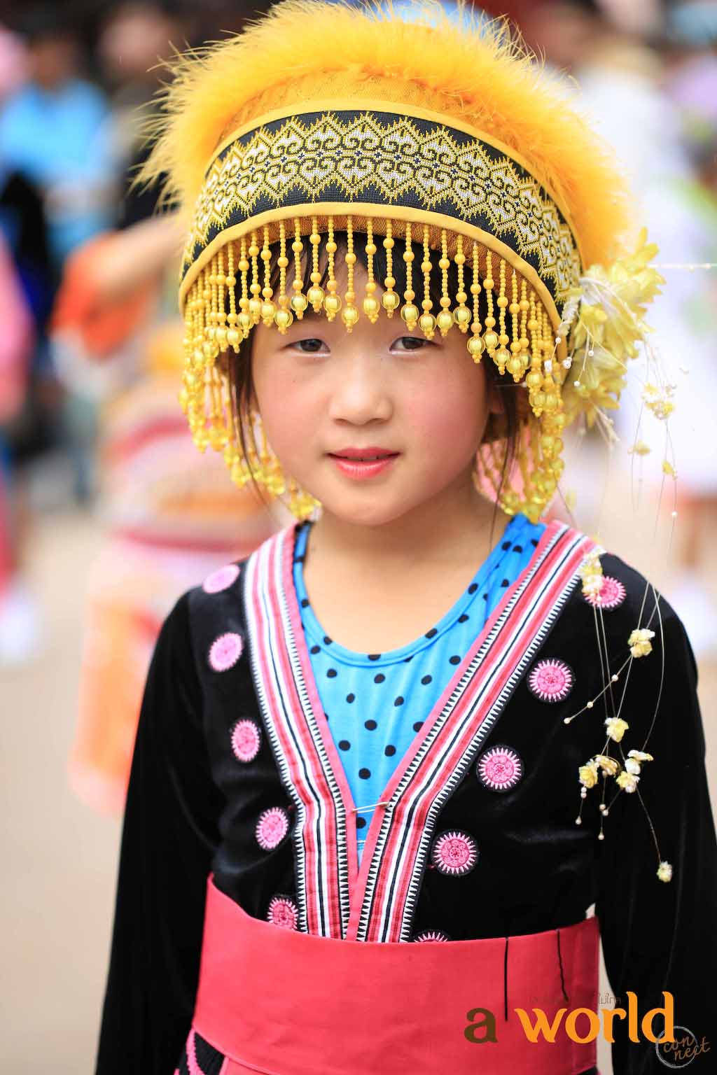 takon (3)